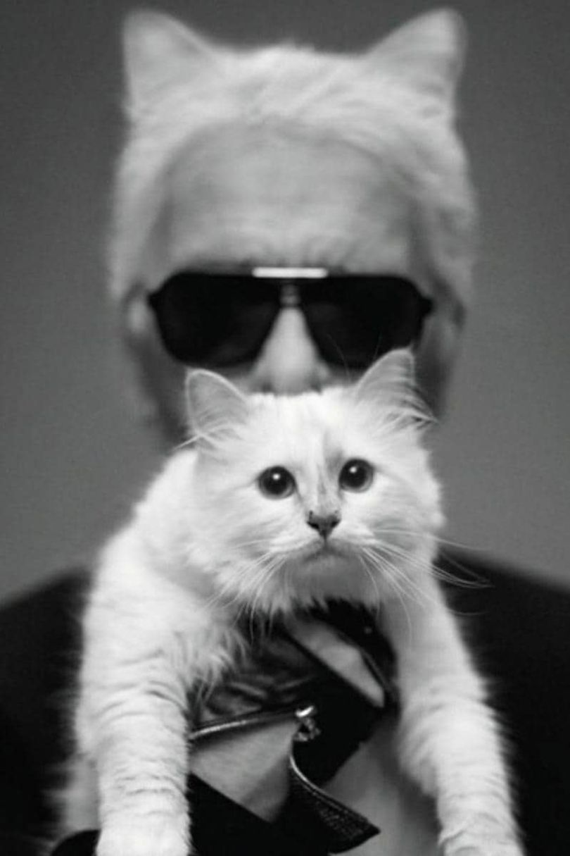 Karl Lagerfeld with his beloved Birman cat, Choupette